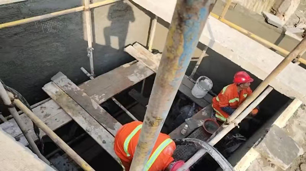 香港天线宝宝资料中心