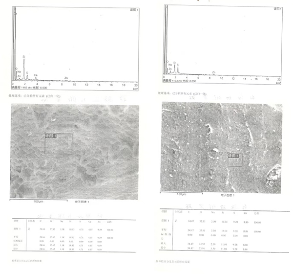 香港天线宝宝资料中心