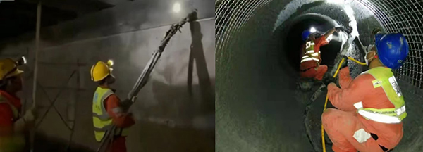 香港天线宝宝资料中心